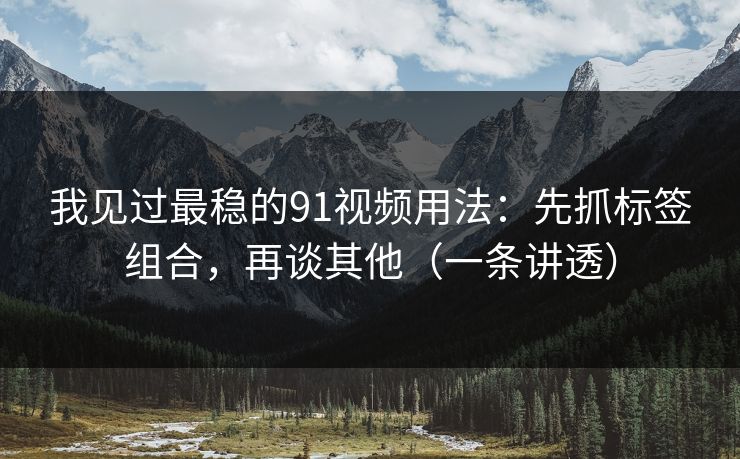 我见过最稳的91视频用法：先抓标签组合，再谈其他（一条讲透）