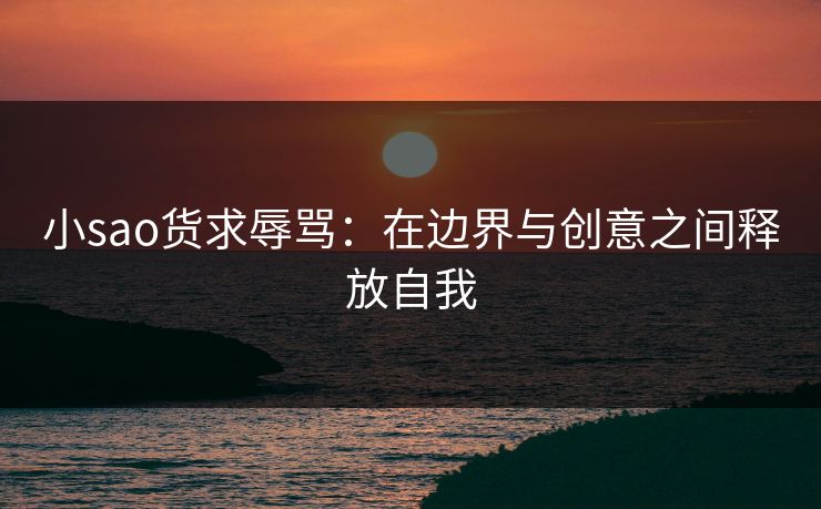 小sao货求辱骂：在边界与创意之间释放自我