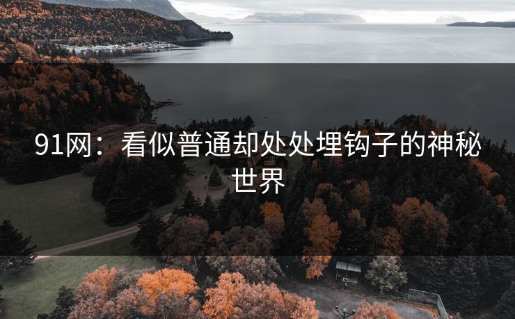91网：看似普通却处处埋钩子的神秘世界